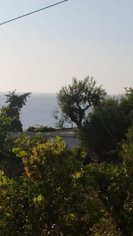 Mullaj Guest House Vlorë Екстериор снимка