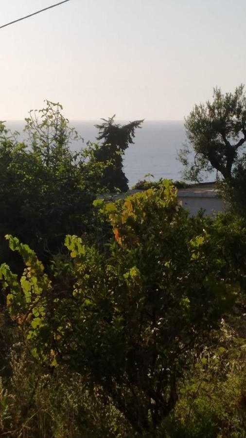 Mullaj Guest House Vlorë Екстериор снимка